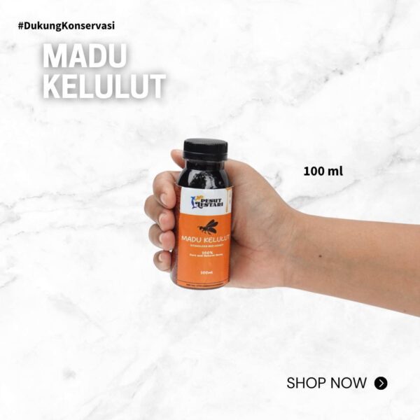 Madu Kelulut - Pesut Lestari | 100% Asli - Image 3