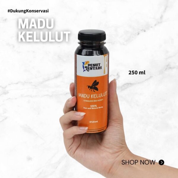 Madu Kelulut - Pesut Lestari | 100% Asli - Image 2