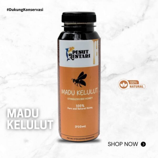 Madu Kelulut - Pesut Lestari | 100% Asli